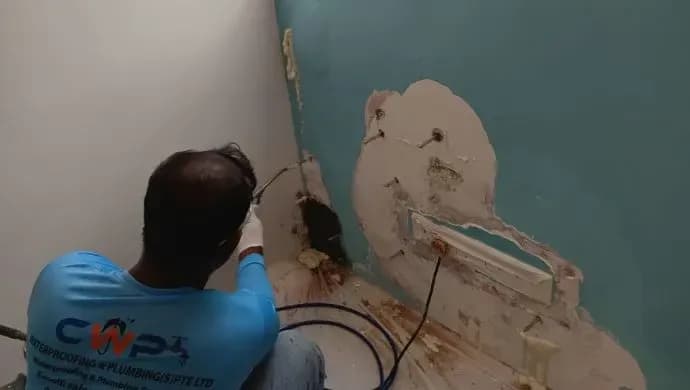 Wall Seepage & Dampness Treatment